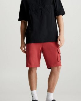 Calvin Klein Jeans JOGGER – Tracksuit bottoms (Garnet)